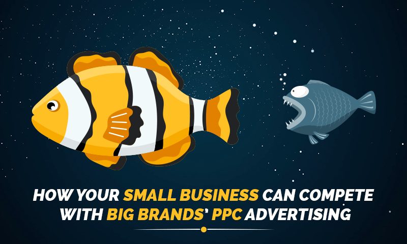 How your small business can compete with big brands’ PPC advertising